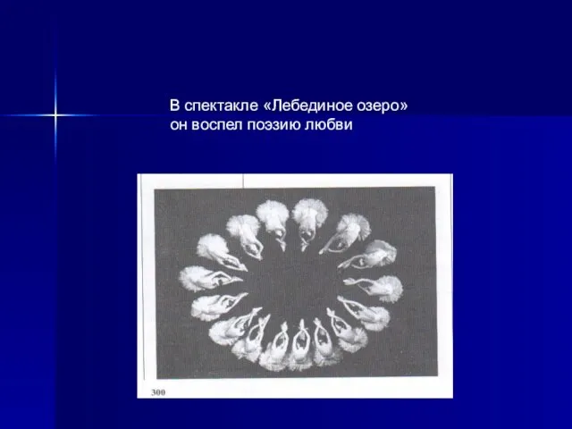 В спектакле «Лебединое озеро» он воспел поэзию любви