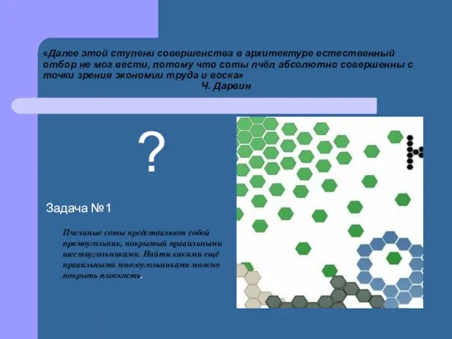 «Далее этой ступени совершенства в архитектуре естественный отбор не мог вести,