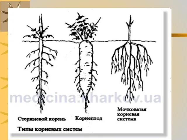 08/28/2023 Романова О.М.