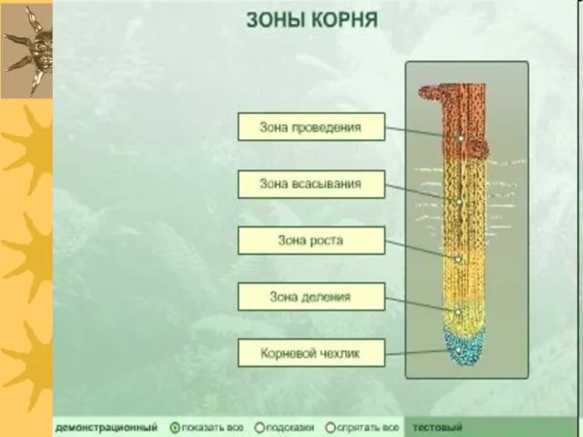 08/28/2023 Романова О.М.