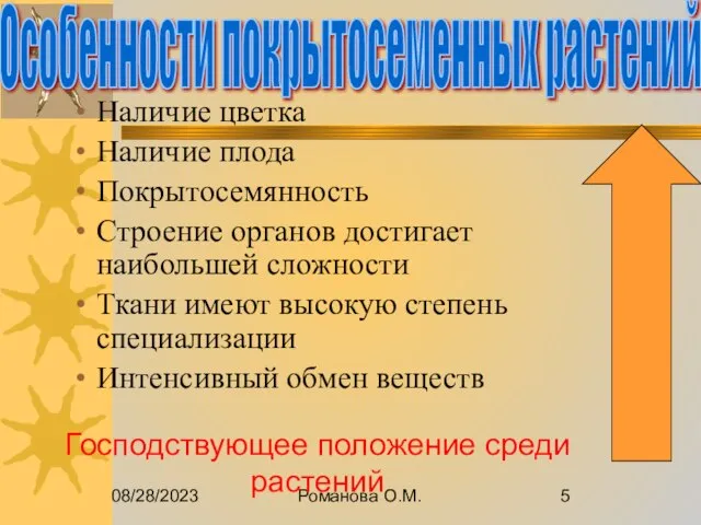 08/28/2023 Романова О.М. Наличие цветка Наличие плода Покрытосемянность Строение органов достигает