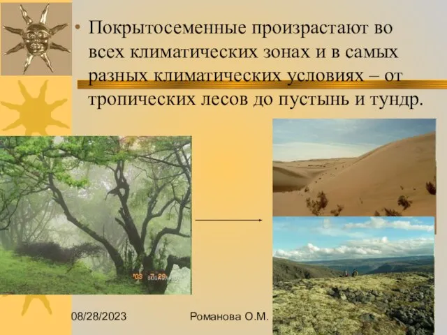 08/28/2023 Романова О.М. Покрытосеменные произрастают во всех климатических зонах и в