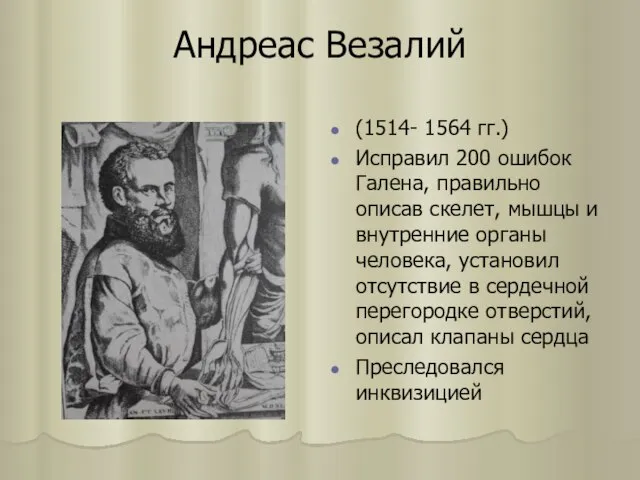 Андреас Везалий (1514- 1564 гг.) Исправил 200 ошибок Галена, правильно описав