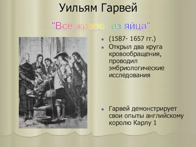 Уильям Гарвей (1587- 1657 гг.) Открыл два круга кровообращения, проводил эмбриологические