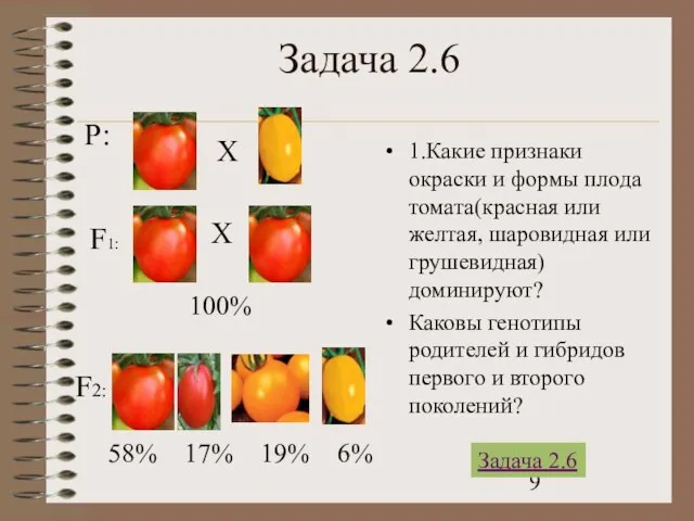 Задача 2.6 1.Какие признаки окраски и формы плода томата(красная или желтая,