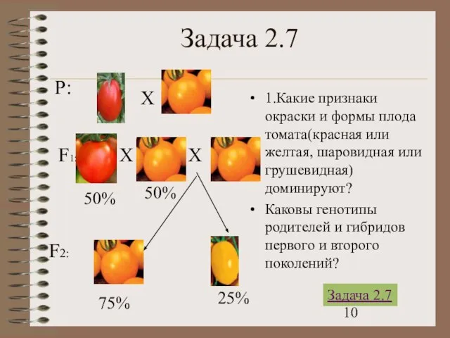 Задача 2.7 1.Какие признаки окраски и формы плода томата(красная или желтая,