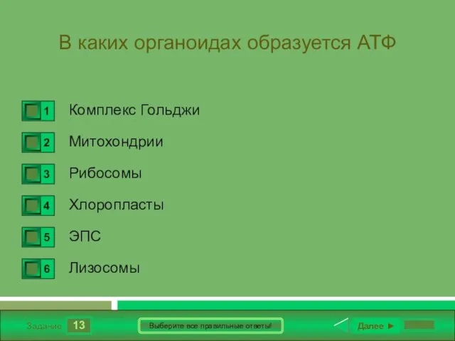 13 Задание Выберите все правильные ответы! В каких органоидах образуется АТФ