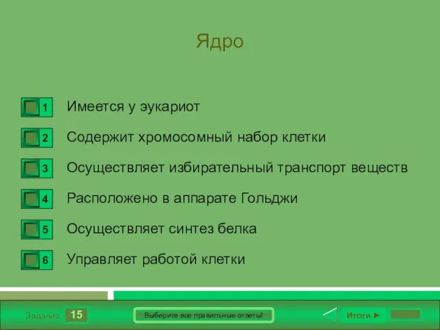 15 Задание Выберите все правильные ответы! Ядро Имеется у эукариот Содержит