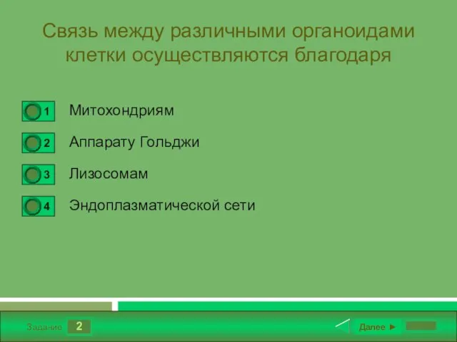 2 Задание Связь между различными органоидами клетки осуществляются благодаря Митохондриям Аппарату