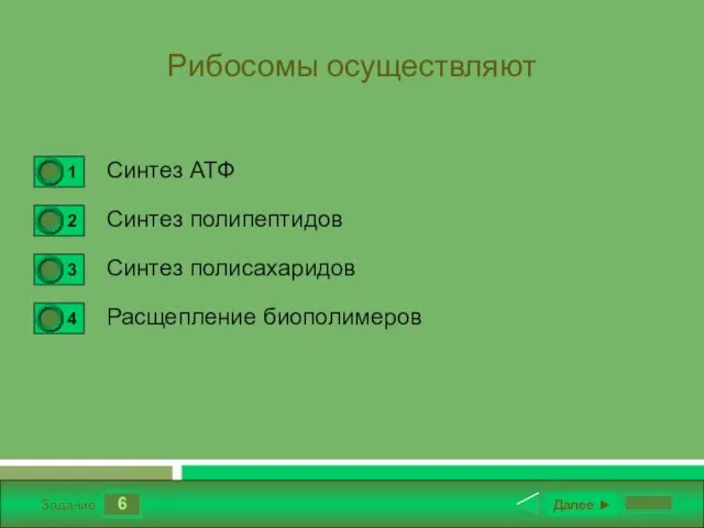 6 Задание Рибосомы осуществляют Синтез АТФ Синтез полипептидов Синтез полисахаридов Расщепление биополимеров Далее ►