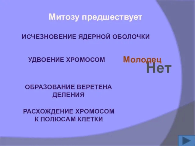 Митозу предшествует ИСЧЕЗНОВЕНИЕ ЯДЕРНОЙ ОБОЛОЧКИ УДВОЕНИЕ ХРОМОСОМ ОБРАЗОВАНИЕ ВЕРЕТЕНА ДЕЛЕНИЯ РАСХОЖДЕНИЕ