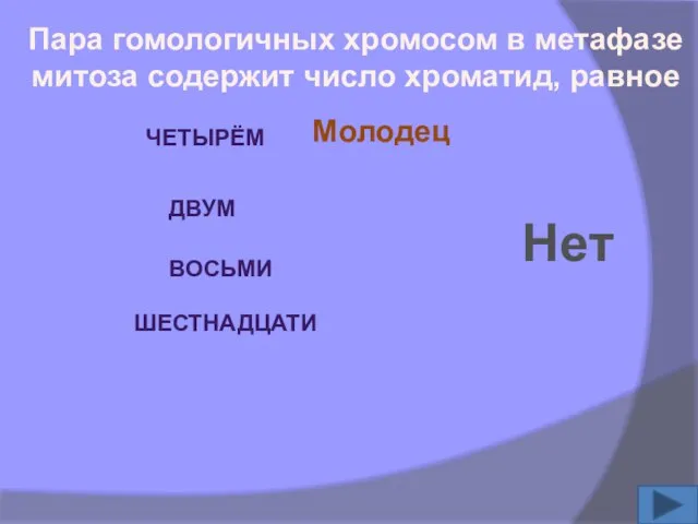 Пара гомологичных хромосом в метафазе митоза содержит число хроматид, равное ЧЕТЫРЁМ ДВУМ ВОСЬМИ ШЕСТНАДЦАТИ Нет Молодец