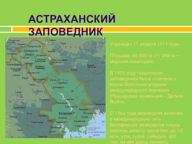 АСТРАХАНСКИЙ ЗАПОВЕДНИК Учреждён 11 апреля 1919 года. Площадь 68 000 га