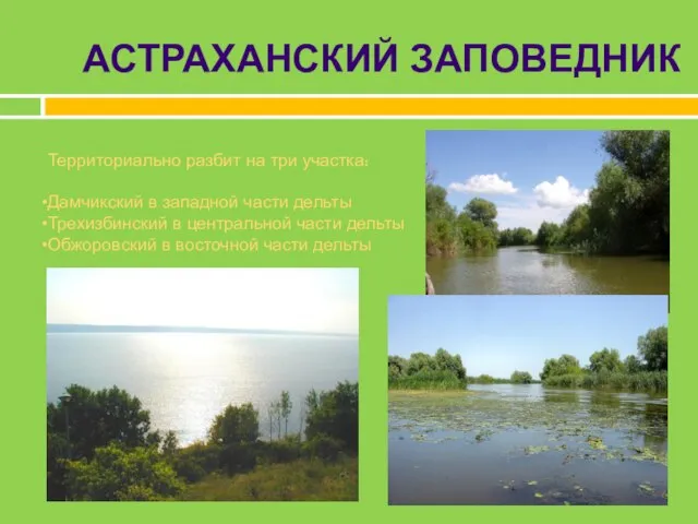 Территориально разбит на три участка: Дамчикский в западной части дельты Трехизбинский