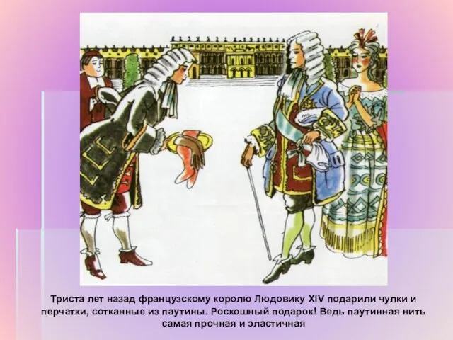 Триста лет назад французскому королю Людовику XIV подарили чулки и перчатки,