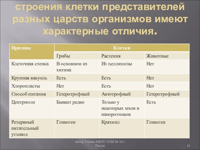 Автор Ученик МБОУ СОШ № 26 г. Пензы строения клетки представителей