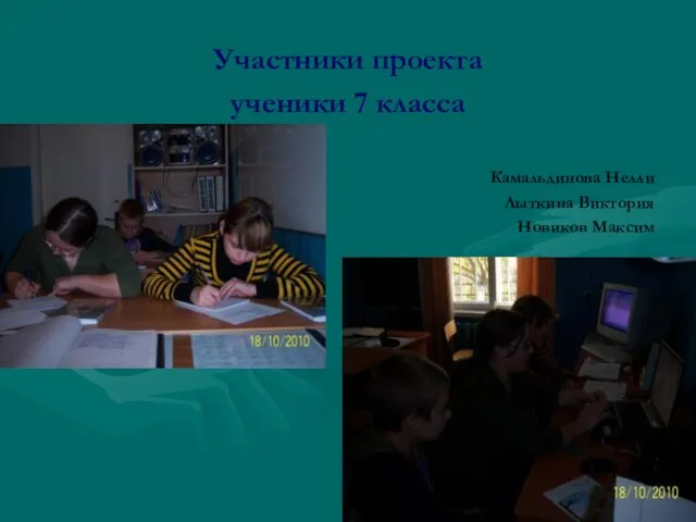 Участники проекта ученики 7 класса Камальдинова Нелли Лыткина Виктория Новиков Максим