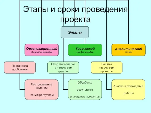 Этапы и сроки проведения проекта