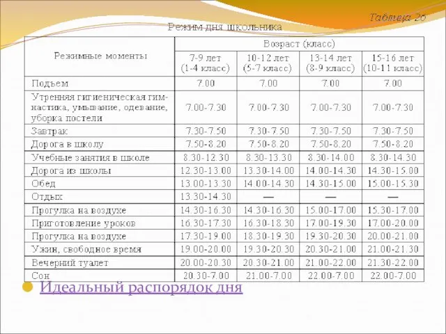 Идеальный распорядок дня