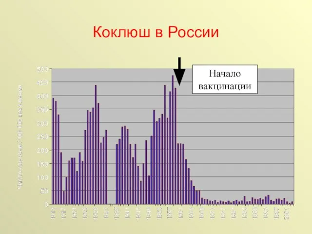 Коклюш в России Начало вакцинации