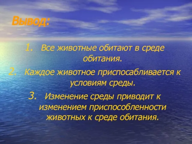 Вывод: Все животные обитают в среде обитания. Каждое животное приспосабливается к