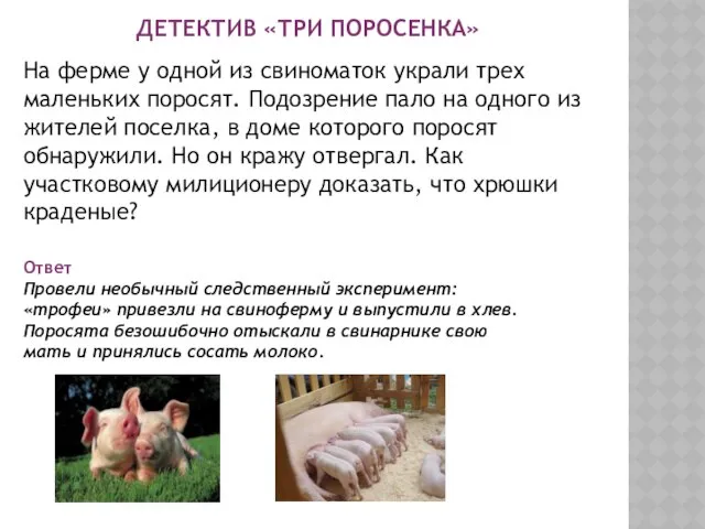 ДЕТЕКТИВ «ТРИ ПОРОСЕНКА» На ферме у одной из свиноматок украли трех