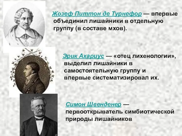 Жозеф Питтон де Турнефор — впервые объединил лишайники в отдельную группу