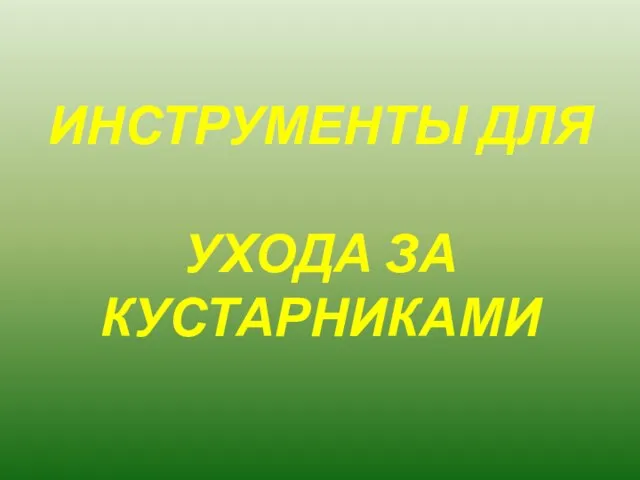 ИНСТРУМЕНТЫ ДЛЯ УХОДА ЗА КУСТАРНИКАМИ