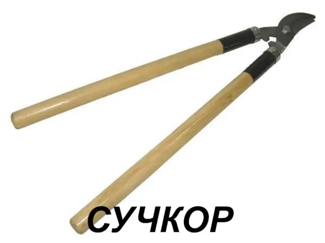 СУЧКОРЕЗ