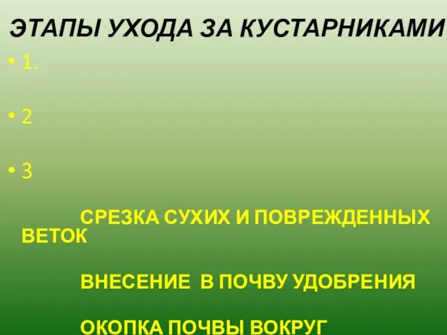 ЭТАПЫ УХОДА ЗА КУСТАРНИКАМИ 1. 2 3 СРЕЗКА СУХИХ И ПОВРЕЖДЕННЫХ