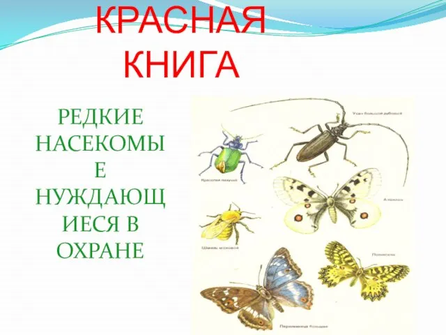 КРАСНАЯ КНИГА РЕДКИЕ НАСЕКОМЫЕ НУЖДАЮЩИЕСЯ В ОХРАНЕ