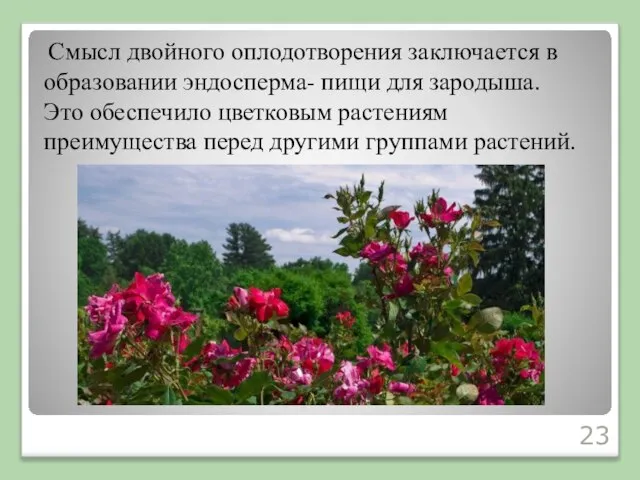 Смысл двойного оплодотворения заключается в образовании эндосперма- пищи для зародыша. Это