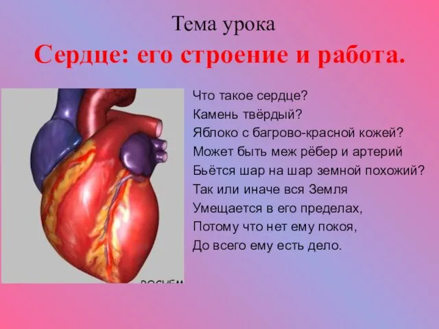 Тема урока Сердце: его строение и работа. Что такое сердце? Камень