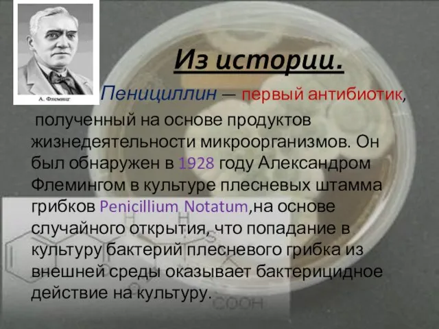 Из истории. Пенициллин — первый антибиотик, полученный на основе продуктов жизнедеятельности