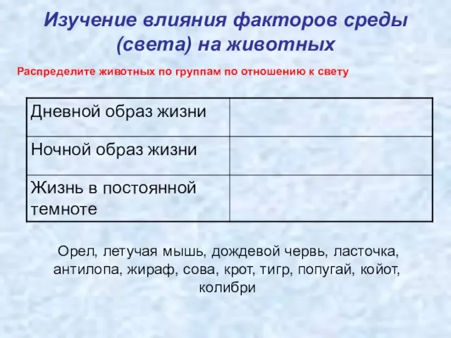 Изучение влияния факторов среды (света) на животных Распределите животных по группам