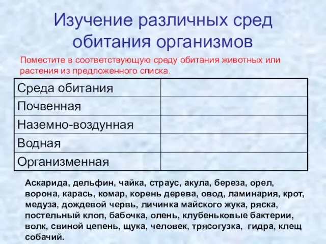 Изучение различных сред обитания организмов Аскарида, дельфин, чайка, страус, акула, береза,