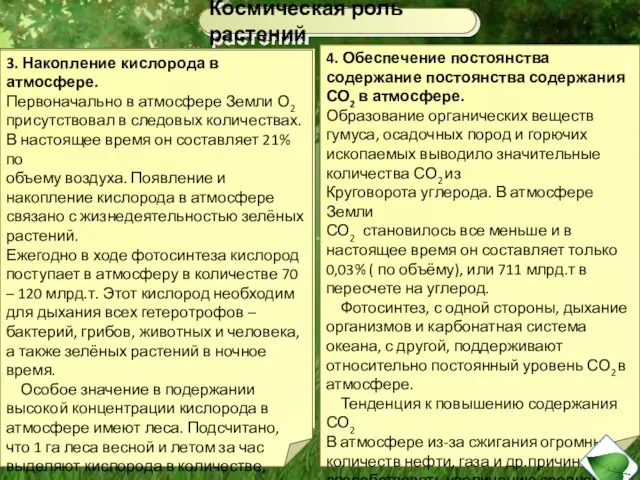 2.Озоновый экран Ещё одно важнейшее следствие выделения растениями кислорода – образование