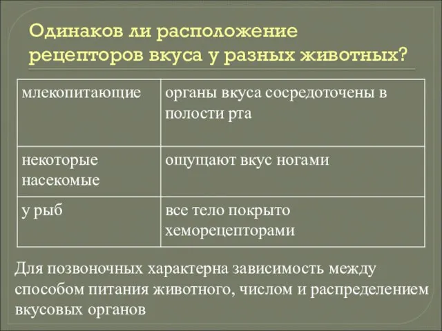 Одинаков ли расположение рецепторов вкуса у разных животных? Для позвоночных характерна