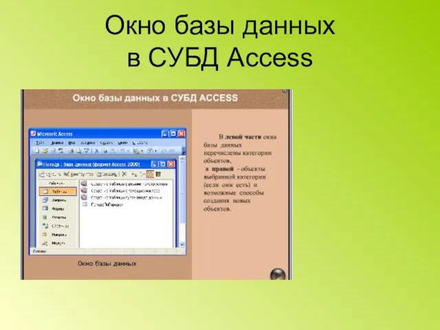 Окно базы данных в СУБД Access