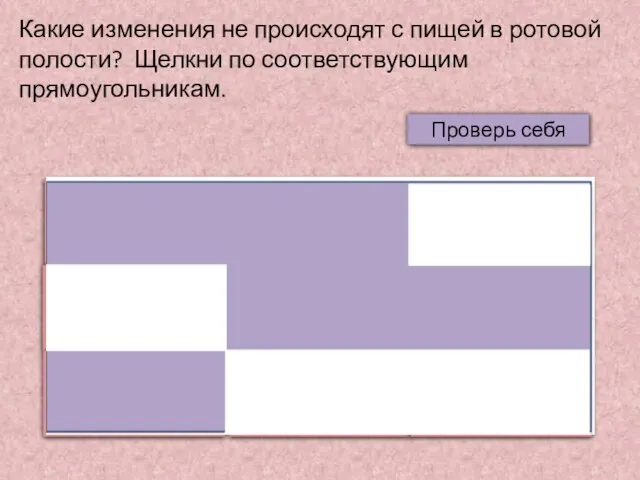 Какие изменения не происходят с пищей в ротовой полости? Щелкни по