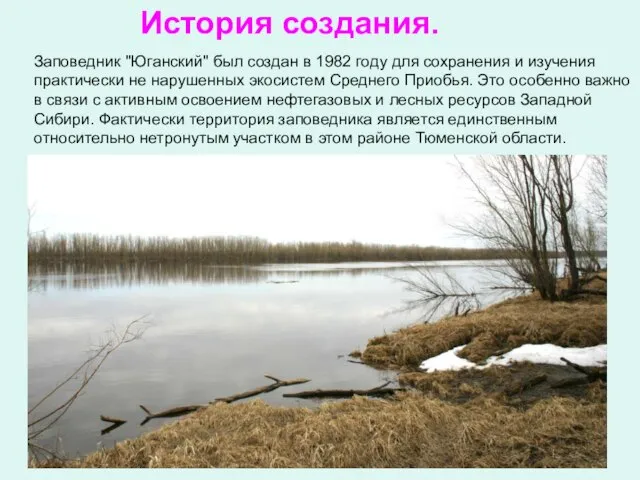 Заповедник "Юганский" был создан в 1982 году для сохранения и изучения