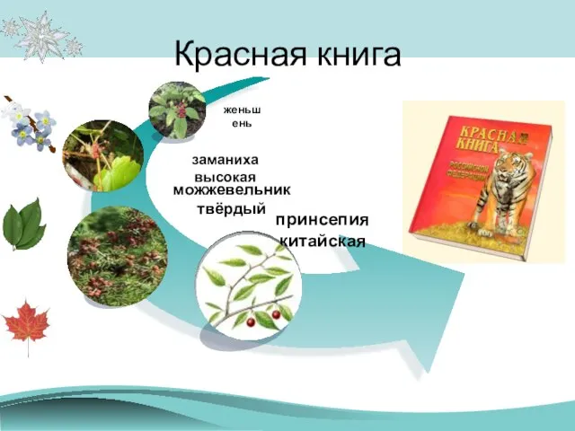 Красная книга