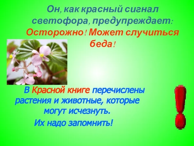 Он, как красный сигнал светофора, предупреждает: Осторожно! Может случиться беда! В