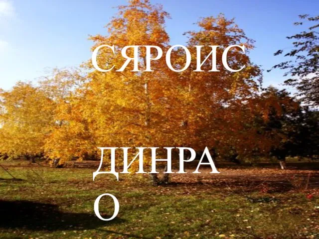 СЯРОИС ДИНРАО