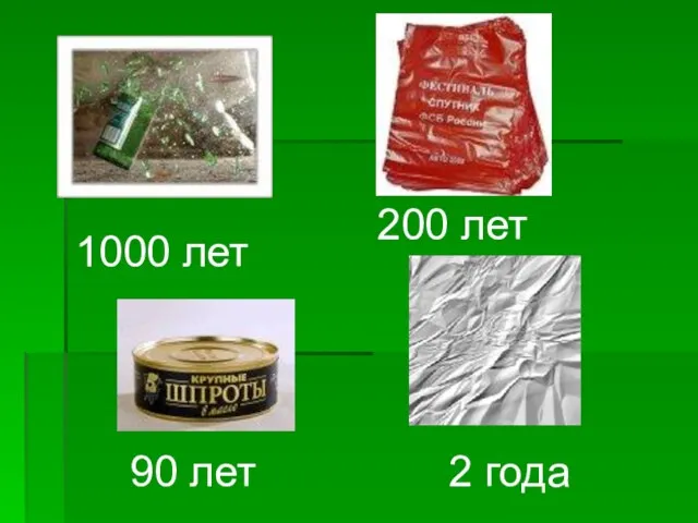 2 года 90 лет 200 лет 1000 лет