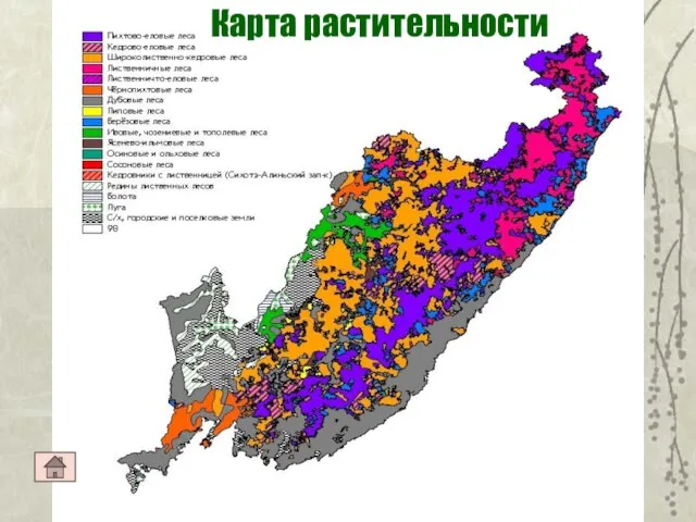 Карта растительности