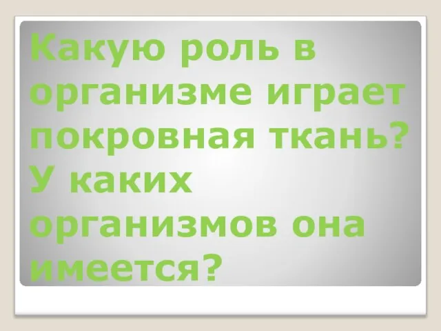 Какую роль в организме играет покровная ткань? У каких организмов она имеется?