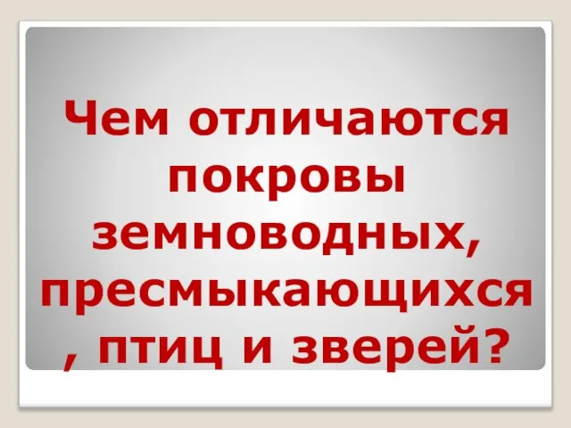 Чем отличаются покровы земноводных, пресмыкающихся, птиц и зверей?