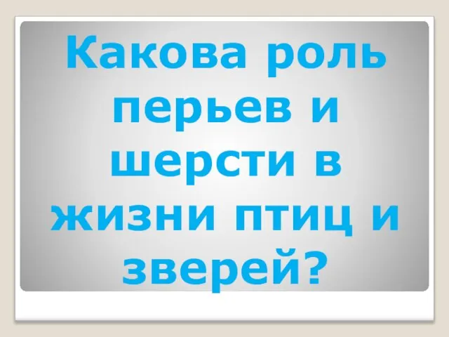 Какова роль перьев и шерсти в жизни птиц и зверей?