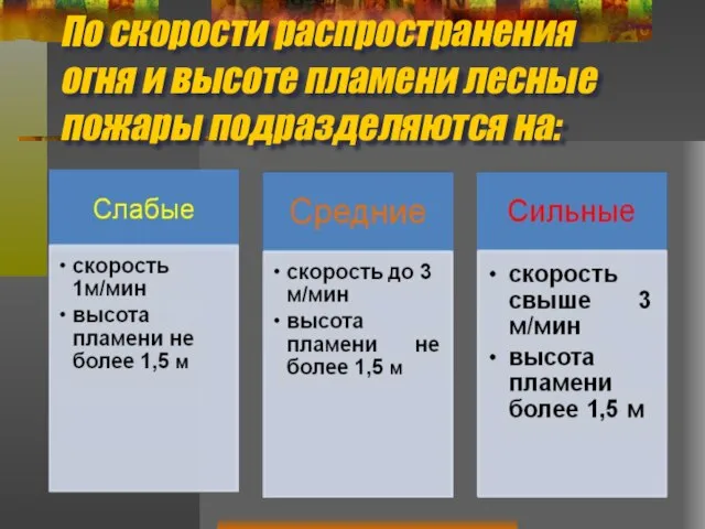 По скорости распространения огня и высоте пламени лесные пожары подразделяются на: